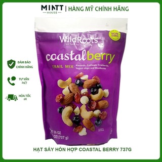 Hạt hỗn hợp nguyên chất WILDROOT COASTAL BERRY - Hạt Điều, Việt Quất, Yaourt, Hạnh nhân, Nam Việt Quất