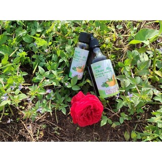 Dầu gội bồ kết thảo mộc T&J