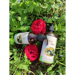 Dầu gội bồ kết thảo mộc T&J