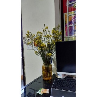 Áo váy xinh chốt live