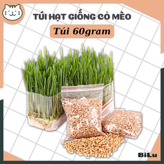 Hạt giống trồng cỏ lúa mì cho mèo túi 60gr