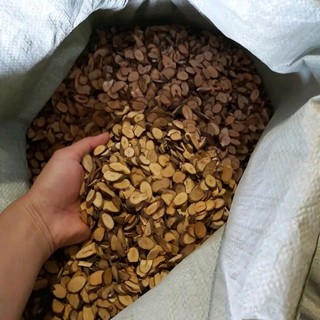 Quế Chi Khô Sạch Đẹp – Thảo Dược Tự Nhiên – Gói 500g / 1kg