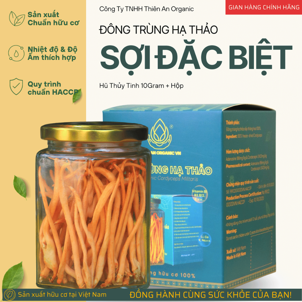 Đông trùng hạ thảo Thiên An Organic Sợi Đặc Biệt 10gram giúp dễ ngủ, ổn định huyết áp và tăng cường sức khỏe