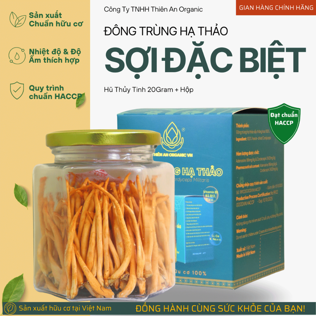 Đông trùng hạ thảo Thiên An Organic Sợi Đặc Biệt 20gram giúp dễ ngủ, ổn định huyết áp và tăng cường sức khỏe