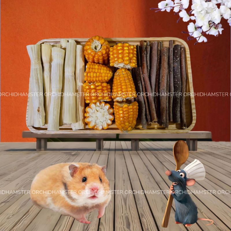 Bánh mài răng và cành táo mài Răng Hamster ,Sóc, Nhím.. v.. v