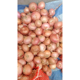 Hành Indo Phi Giòn Giòn Loại 500gram