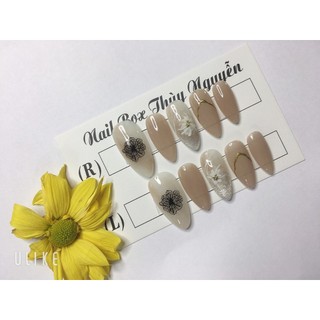 Nailbox thạch nul,hoa tiểu thư