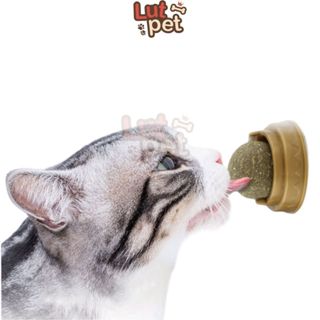 Catnip dạng xoay gắn tường - mài răng tiêu búi lông cho mèo - lutpet