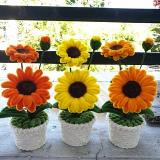 Chậu hoa hướng dương mini kẽm nhung để bàn, decor