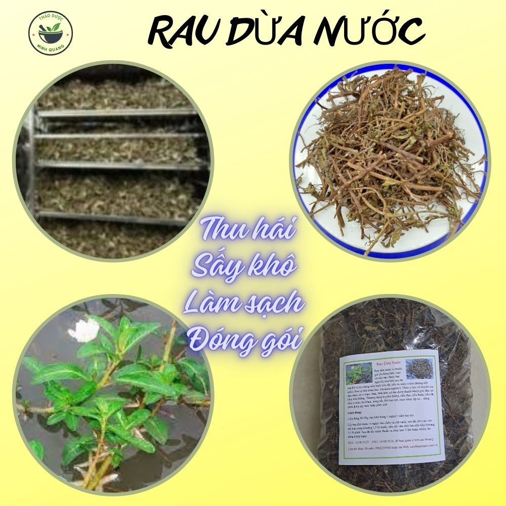RAU DỪA NƯỚC- loại 1, làm sạch sấy khô