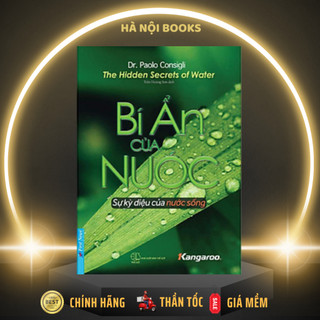 Sách - Bí Ẩn của Nước - First News