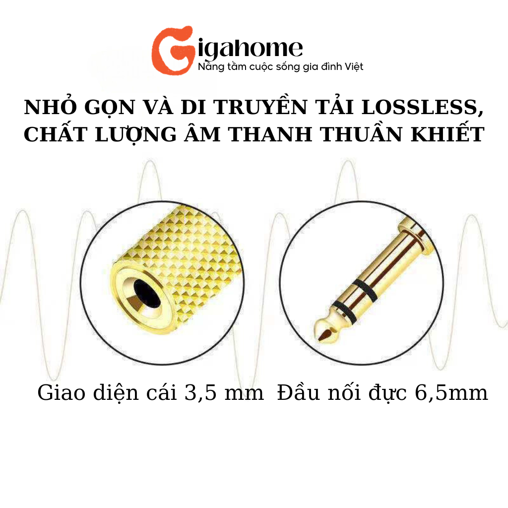 Đầu Jack Chuyển Đổi Tín Hiệu Âm Thanh 65mm Sang 3.5mm Cho Loa GIGAHOMEVN 5781