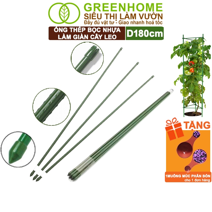 5 Ống Thép Bọc Nhựa Greenhome, Daim, Nhật Bản, D180cm, Làm Khung Hoa Hồng Leo, Giàn Leo Bầu, Bí, Mướp, Độ Bền 5 Năm