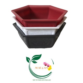 Chậu lục giác bonsai mini - #019d# 21x8cm