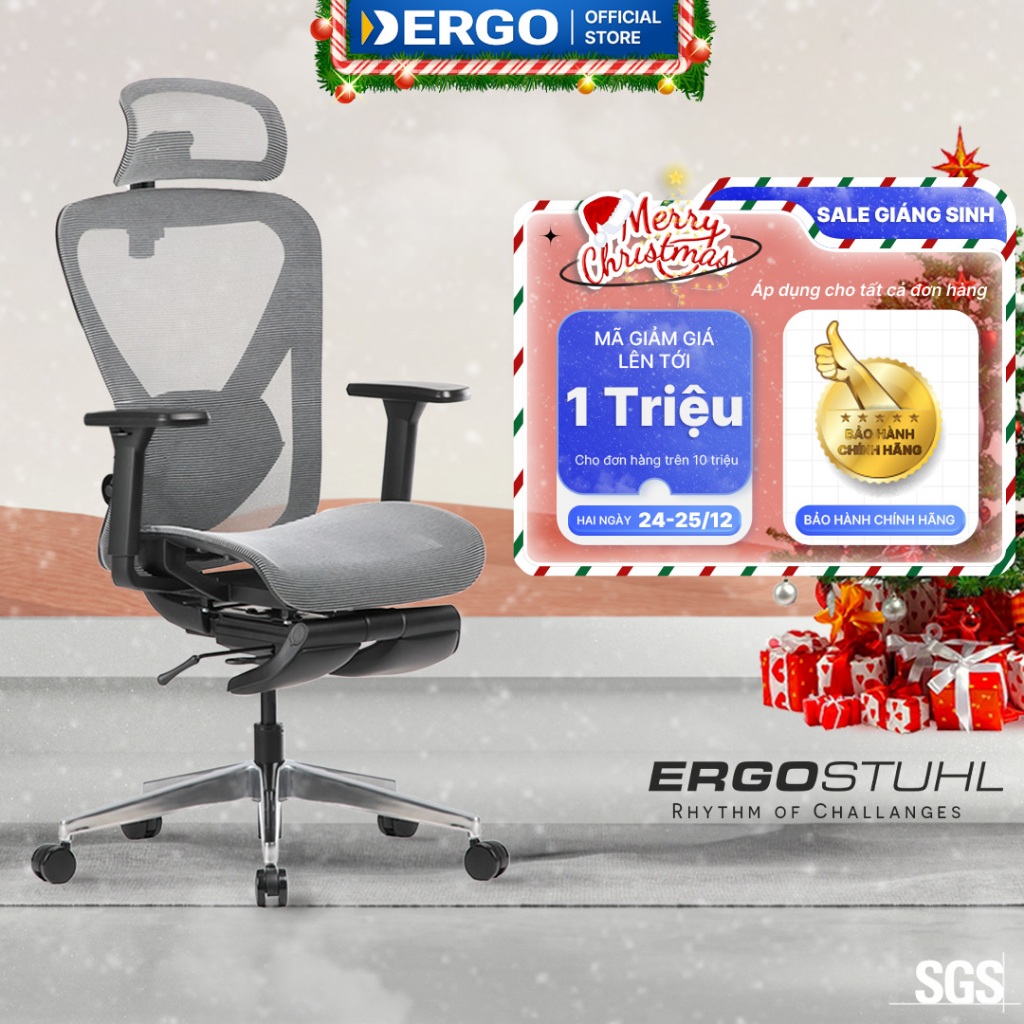 Ghế Công Thái Học Ergonomic Office Chair Ergostuhl Q1 Pro (Footrest)