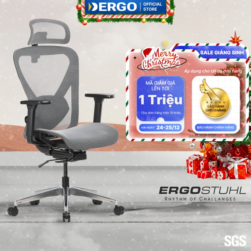 Ghế Công Thái Học Ergonomic Office Chair Ergostuhl Q1