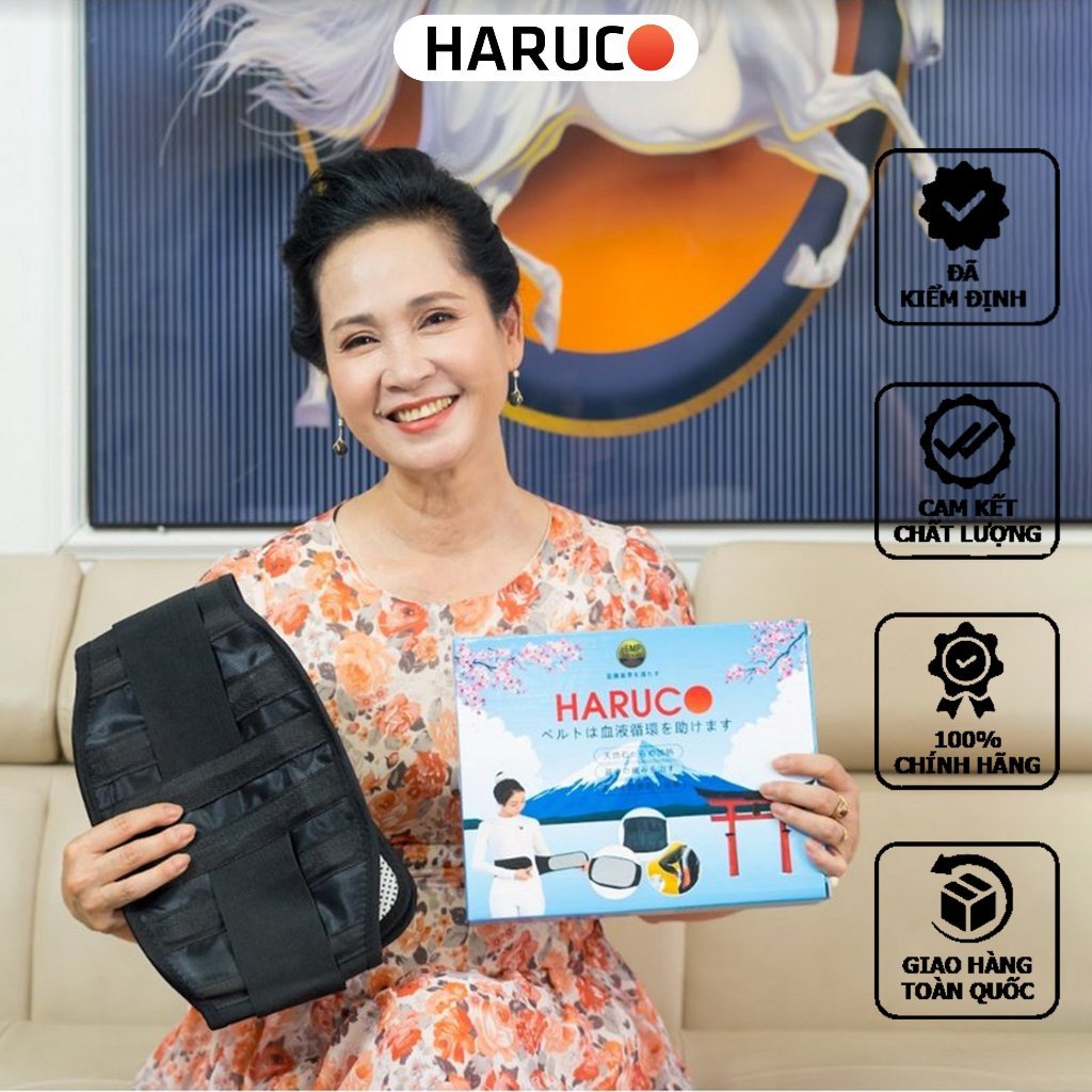 Đai Chữa Đau Lưng Haruco , Đai Chữa Thoát Vị Đĩa Đệm Tốt Nhất hiện nay
