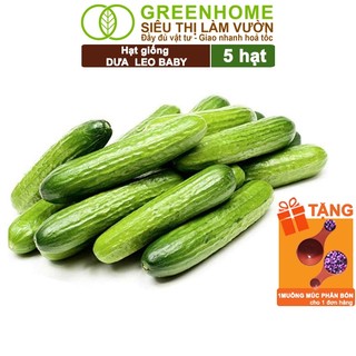 Hạt Giống Dưa Leo Baby Greenhome, Gói 5 Hạt, Trái Suôn Dạng Chùm Giòn Ngọt, Dễ Trồng, Năng Suất T01