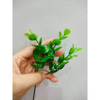100g cỏ điểm tai chuột( đã nhạt sạch)