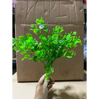 100g cỏ điểm tai chuột( đã nhạt sạch)