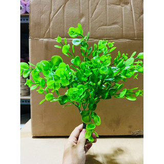 100g cỏ điểm tai chuột( đã nhạt sạch)