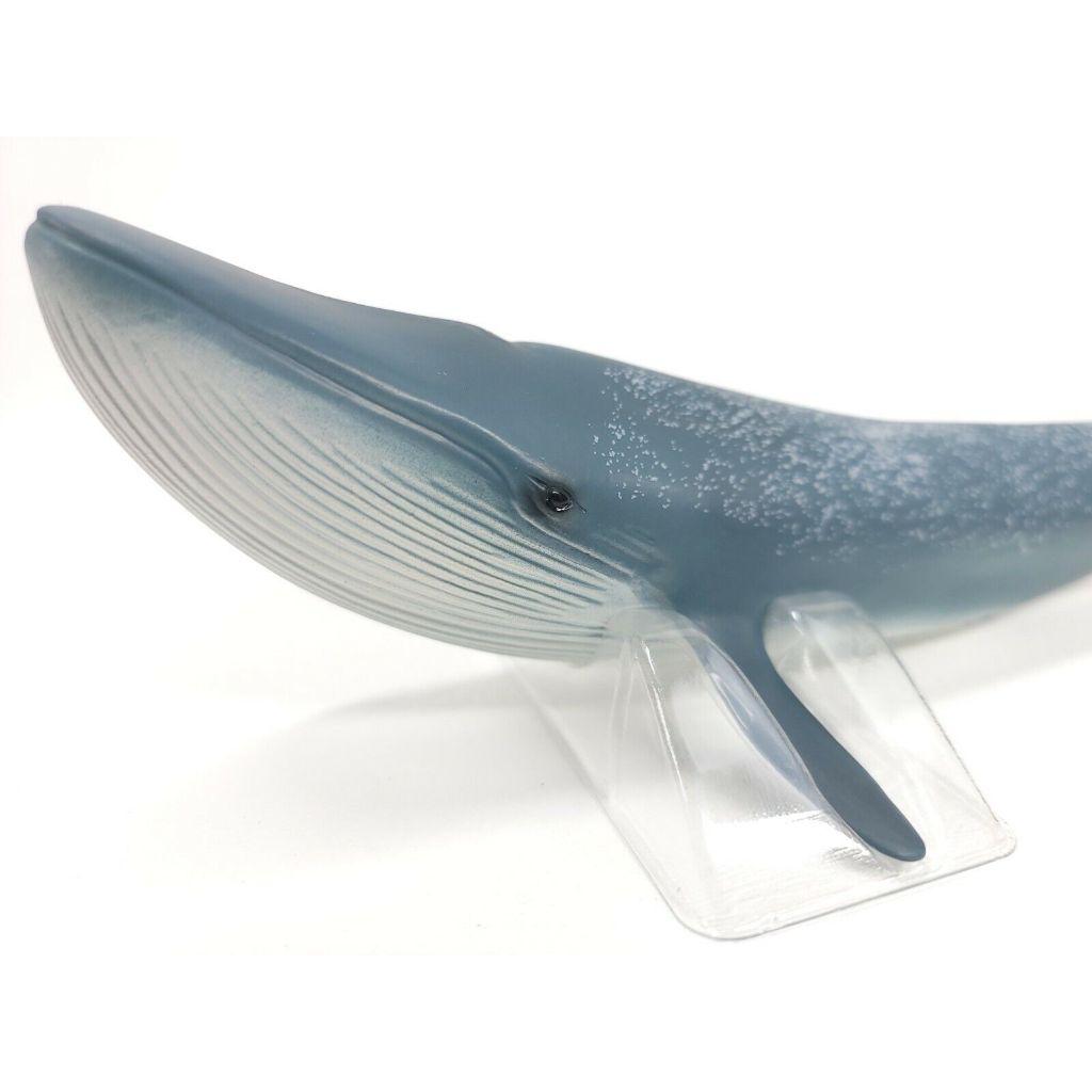 Đồ Chơi Mô hình Cá voi xanh SCHLEICH 14806