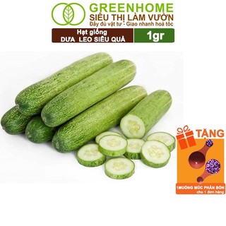 Hạt giống dưa leo greenhome, gói 1gr, dễ trồng quanh năm, nảy mầm cao, thu hoạch nhanh t02