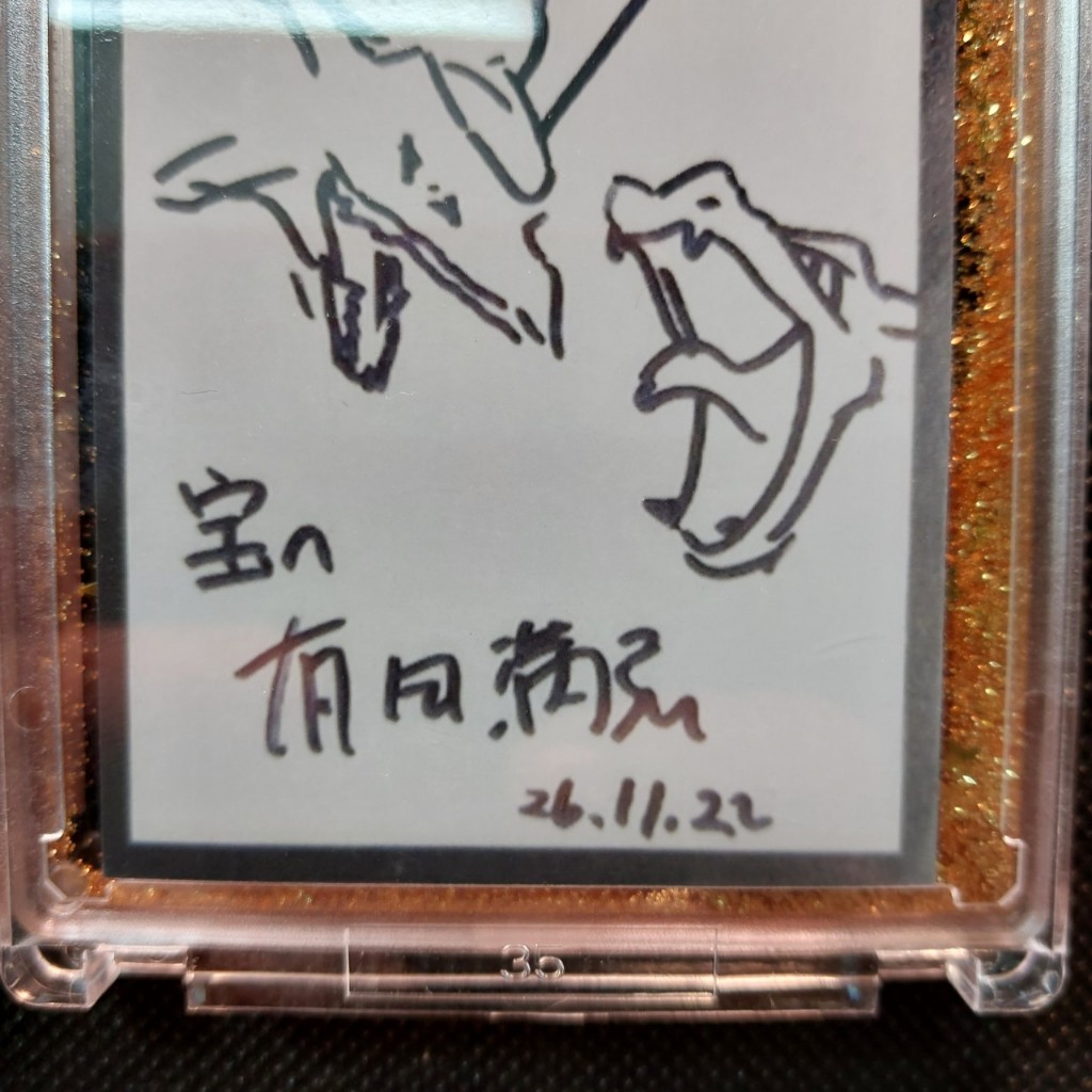 Thẻ Rayquaza và Lizardon trong Pokemon Signed 2098 Nf3 1-11