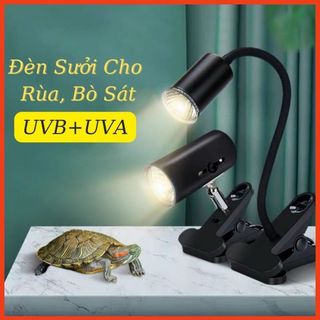 Đèn sưởi ấm cho pet, rùa, chó con, mèo con, chim, vẹt, bò sát, gà...