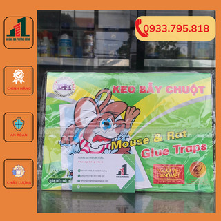Keo dính chuột giấy