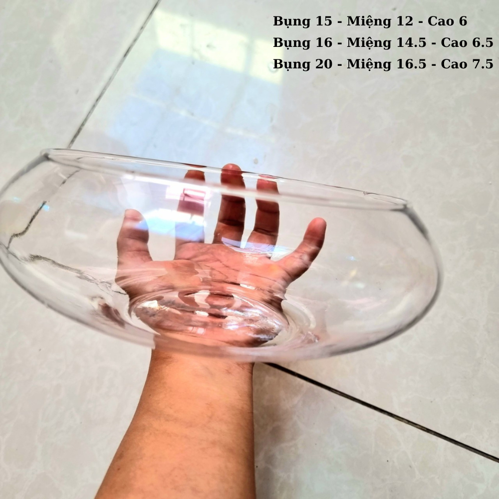 Chậu Thủy Tinh Tròn Lùn BS nhiều kích cỡ phù hợp trồng sen đá hoặc thủy canh