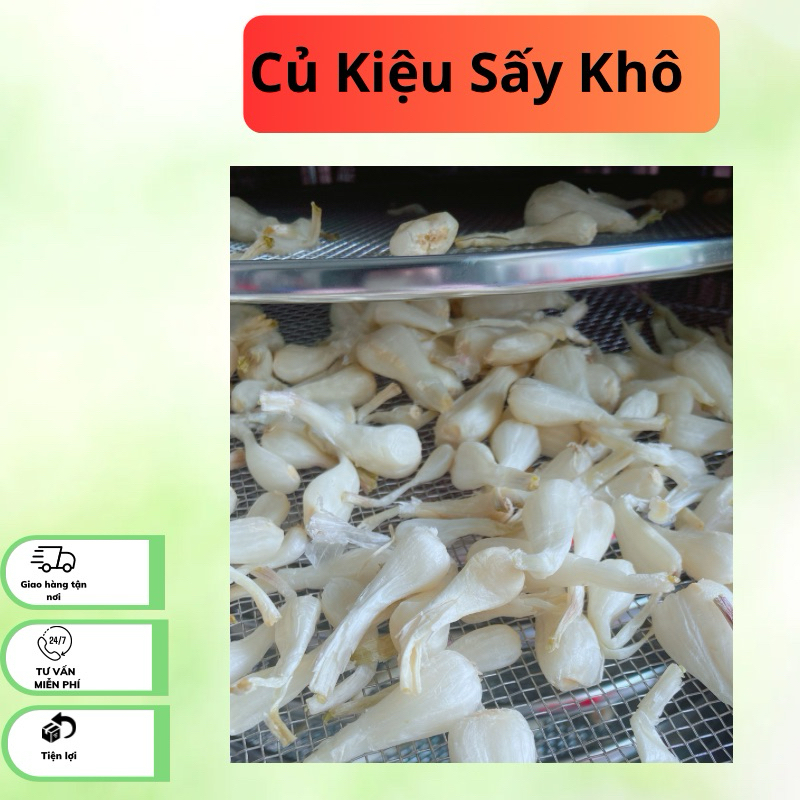 CỦ KIỆU SẤY XUẤT KHẨU