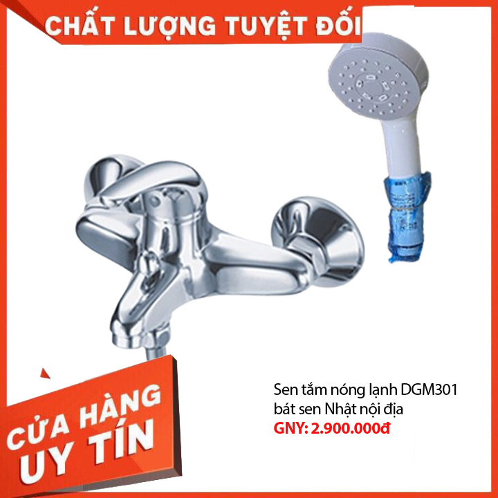 Sen Tắm Nóng Lạnh TOTO DGM301CFNS/ Kết Hợp Bát Massa/ bát cầm tay rời