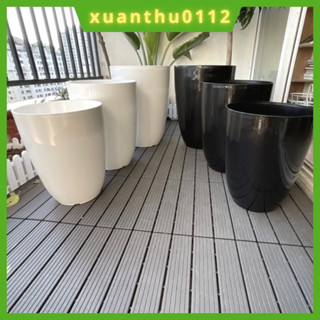 Chậu bom trồng hoa cây cảnh, chậu nhựa trồng cây cỡ lớn, chậu nhựa giả sứ hàng loại 1,chậu nhựa trồng hoa văn phòng