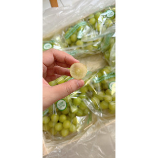 Nho xanh peru giòn ngọt 1kg
