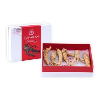 Nhân sâm canada silverlife gold - nhân sâm khô nguyên củ - loại củ to