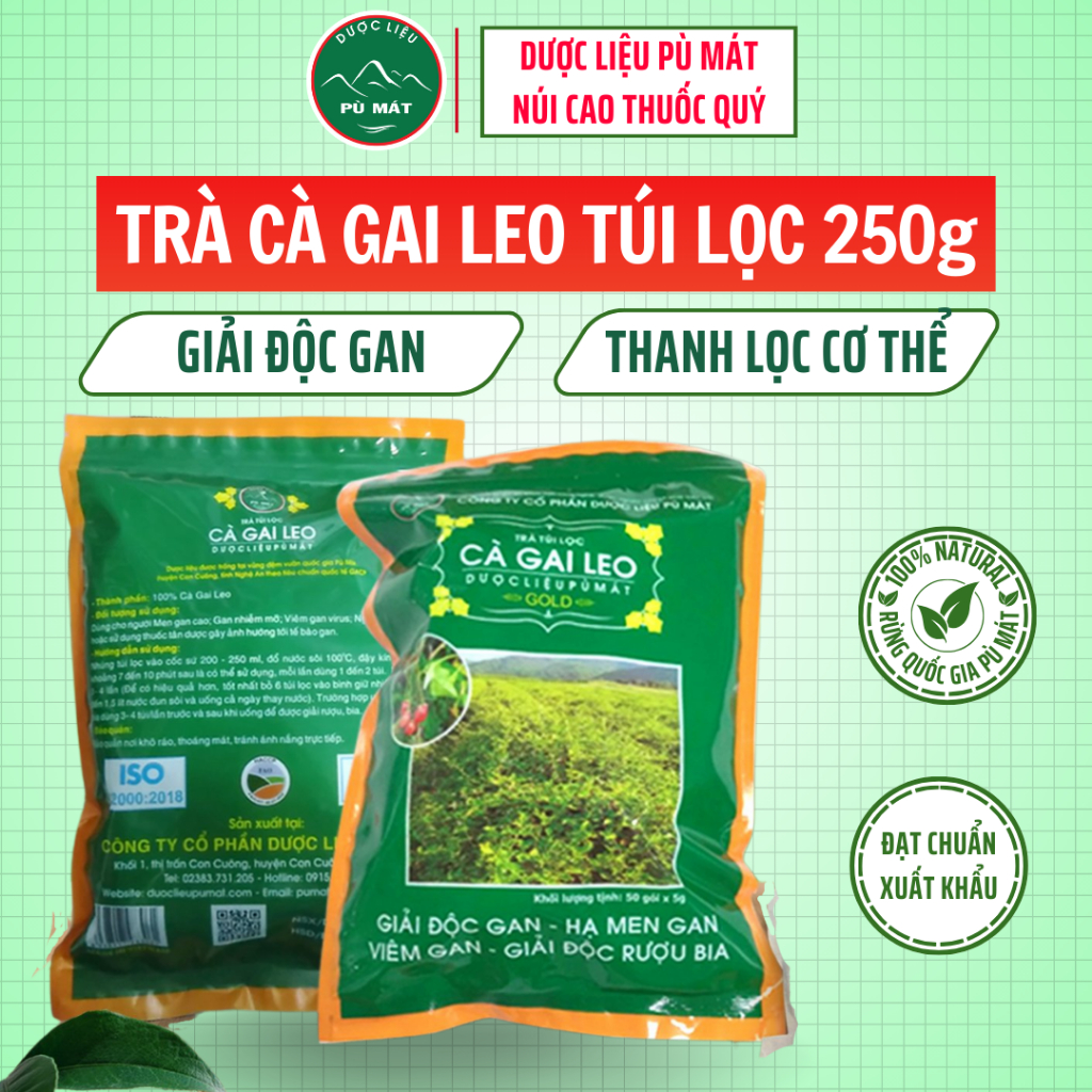 Trà cà gai leo túi lọc Dược Liệu Pù Mát đạt chuẩn OCOP 4 sao 100% nguyên liệu Rừng Quốc Gia Pù Mát, Cà gai leo túi lọc