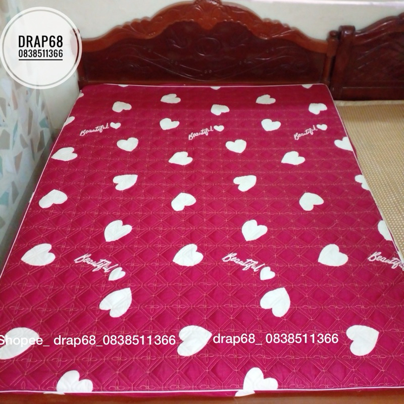 Ga Chun Trần Bông Cotton Boly - Dày Dặn Bền Đẹp Đủ Kích Thước