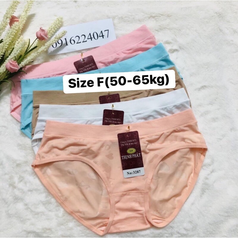 Set 10 Quần lót nữ Thịnh phát size trung, quần chíp nữ voan ép lưng dệt cực êm
