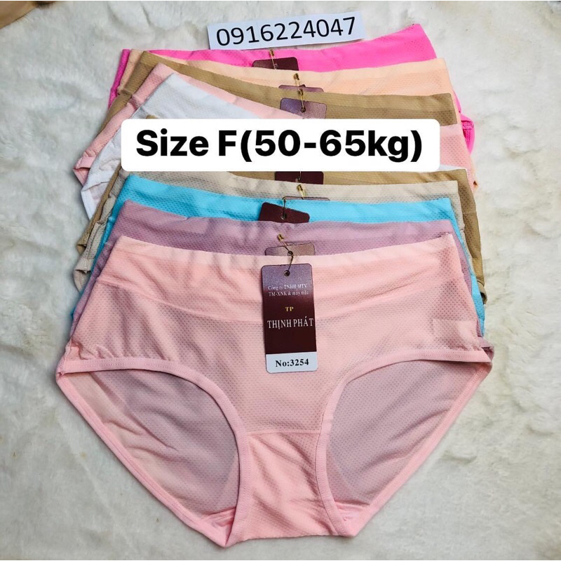 Set 5 Quần lót nữ Thịnh Phát lưng cao thông hơi, quần chíp nữ thun lạnh chất mền đẹp