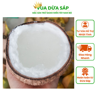 Trái Bi Đặc Loại 1 Lỏng Dừa Sáp Ông Hoàng - Vua Dừa Sáp Đặc Ruột Cơm Mềm Giá Rẻ Sỉ Lẻ Cầu Kè Trà Vinh