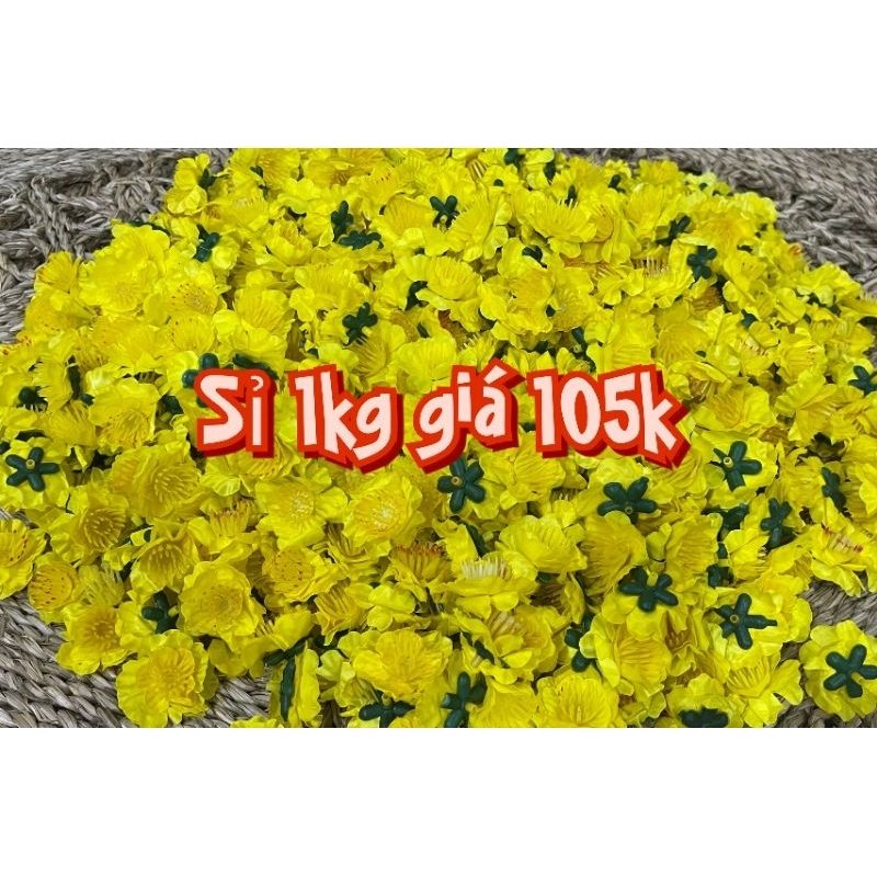 Hoa mai hoa đào rời, hoa mai chùm