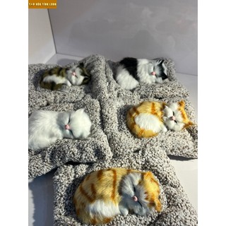 Mèo bông nằm ngủ