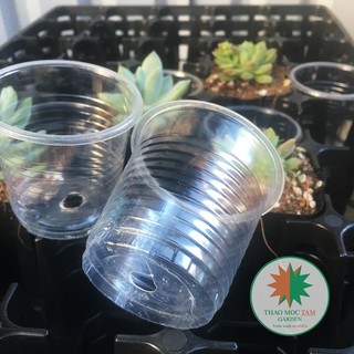 Lốc 50 ly nhựa đục lỗ đáy dùng trồng cây con, gieo hạt - Ly nhựa Plastic ươm cây