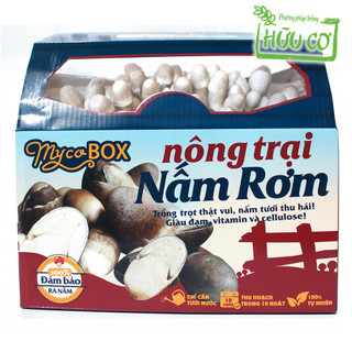 Nông trại Nấm Rơm MycoBOX, Phôi Nấm Rơm Siêu To