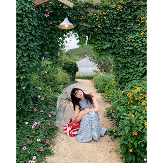 Đầm caro dáng xoè