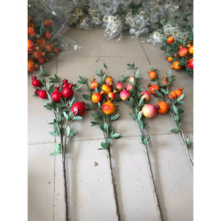 Lựu 6 quả giá rẻ