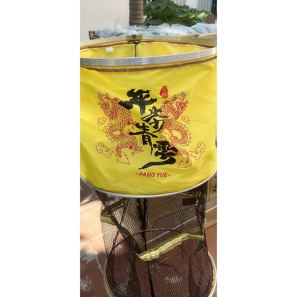 RỌNG CÁ SONG LONG