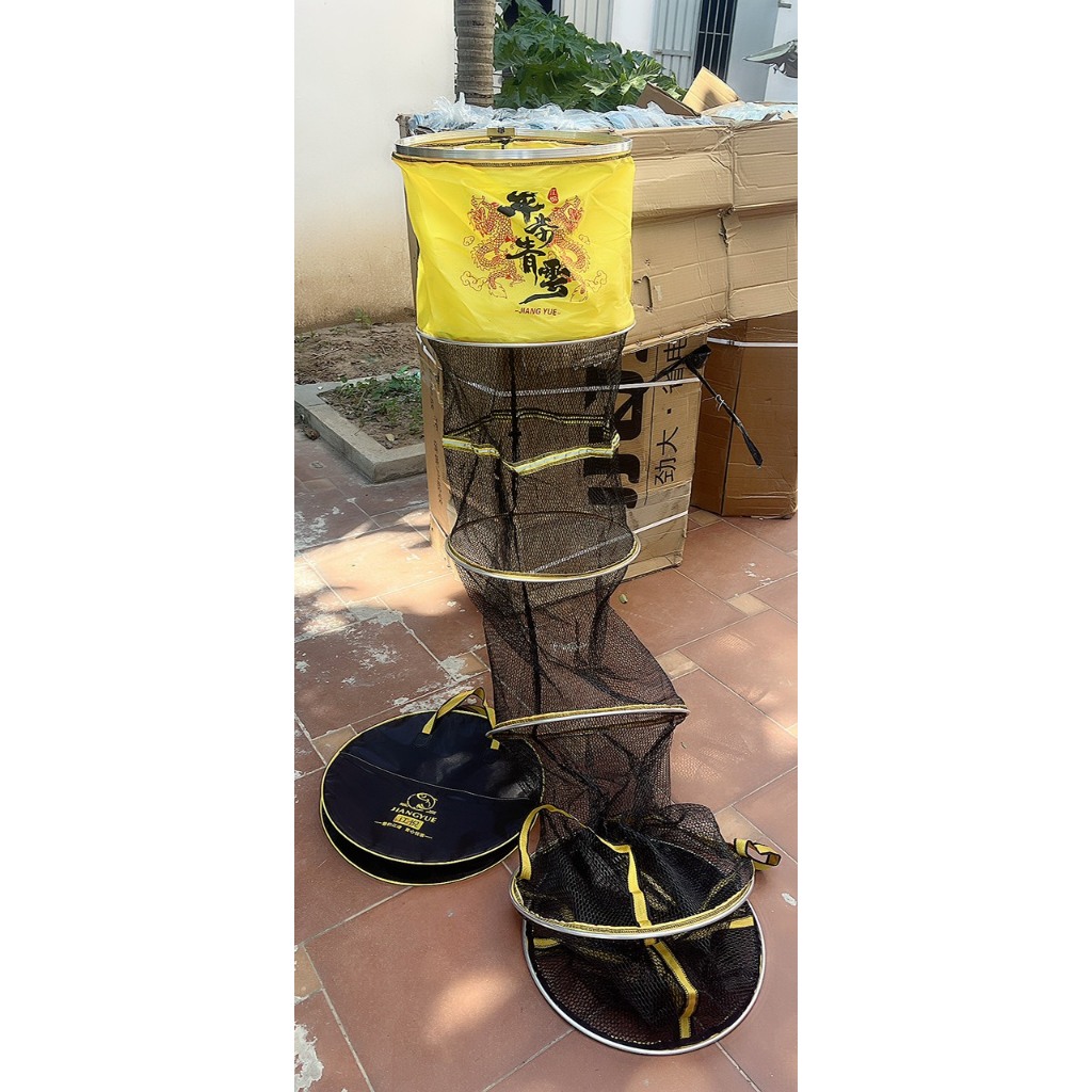 RỌNG CÁ SONG LONG