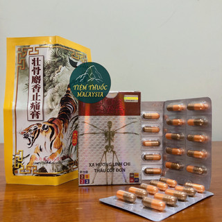 Xạ hương linh chi thấu cốt đơn nhiều loại – hỗ trợ xương khớp